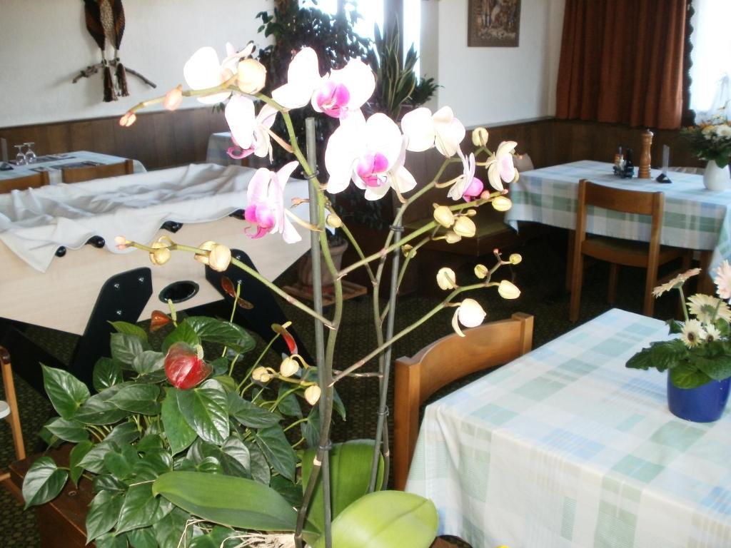 Hotel Pez Ault Disentis Exteriér fotografie